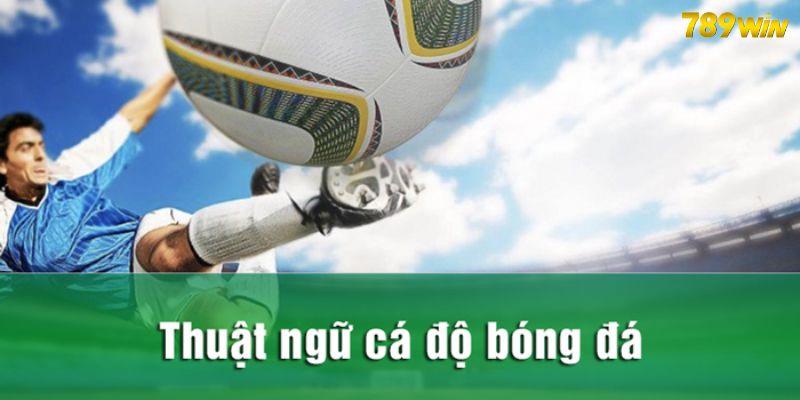 Thuật ngữ cá độ bóng đá được vận dụng để chơi cược đơn giản