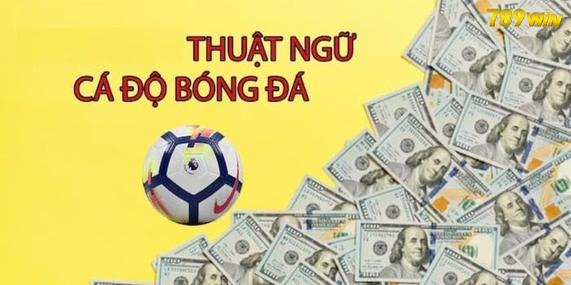 Thuật Ngữ Cá Độ Bóng Đá - Giải Đáp Một Số Cách Gọi Cơ Bản