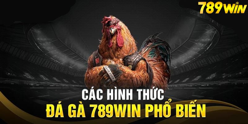 Nhung hinh thuc da ga pho bien nhat o nha cai 789win